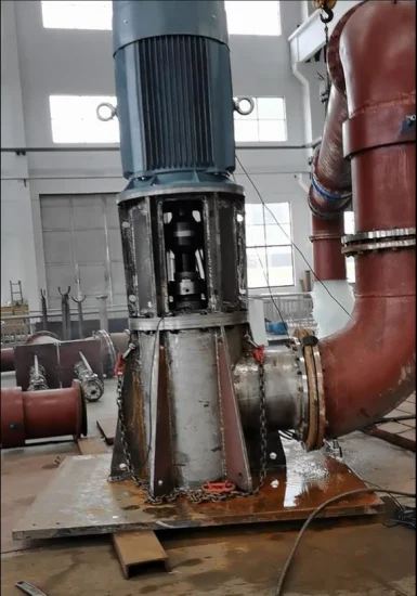 Vertical Chemical Axial/Mixed Flow Self-Priming Long Shaft Elbow Propeller Turbine Pump for Sewage Flood Control & Seawater by Duplex Stainless Steel &Titanium